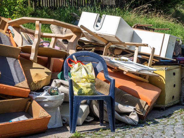 Best Moving and Downsizing Cleanouts  in Luray, VA
